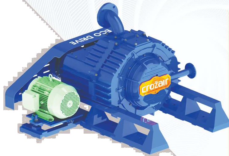 Twin lobe vacuum booster for process vacuum systems